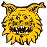 Ilves W
