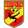 Recolta Gheorghe Doja