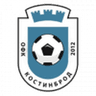 Kostinbrod