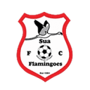 Sua Flamingoes