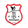 Sua Flamingoes