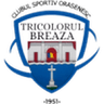Tricolorul Breaza