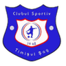 Timişul Şag