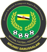 Brunei U20