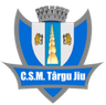 CSM Targu Jiu