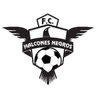 Halcones Negros