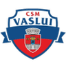 CSM FC Vaslui